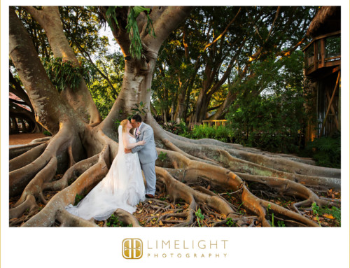 5-29-21 – Katie & Daniel – Marie Selby Botanical Gardens